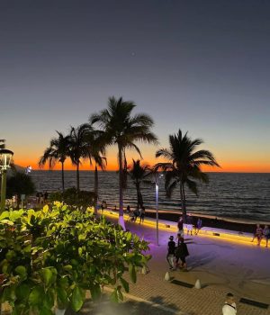 Malecón De Puerto Vallarta Malecón De Puerto Vallarta